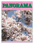 Vol 40, No 2
